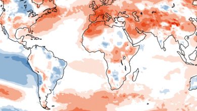 Photo of Il 2022 è stato estremo: per l’Europa è stato il secondo anno più caldo mai registrato