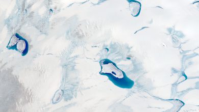 Photo of Groenlandia, tra il 2000 e il 2011 le temperature più alte dell’ultimo millennio