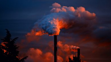 Photo of Erano “crediti fantasma” quasi tutti i crediti di carbonio certificati da uno degli schemi più usati al mondo. Non c’è più tempo per le scappatoie