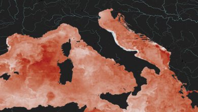 Photo of Mediterraneo troppo caldo: temperature mai così alte ad inizio gennaio dal 1982