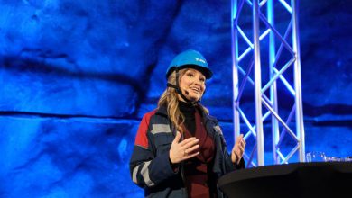 Photo of Terre Rare, scoperto in Svezia il giacimento più grande d’Europa