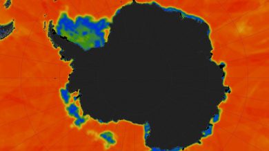 Photo of Antartide, mai così poco ghiaccio marino da almeno 42 anni