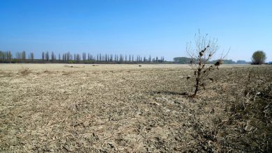 Photo of Siccità, due inverni con poca pioggia o neve al Nord-Ovest: manca più della metà dell’acqua