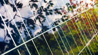 Photo of Rinnovabili, in Italia transizione bloccata da burocrazia e normative: al via solo l’1% del nuovo solare