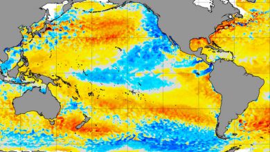 Photo of Nel 2023 potrebbe tornare El Niño con un aumento delle temperature globali