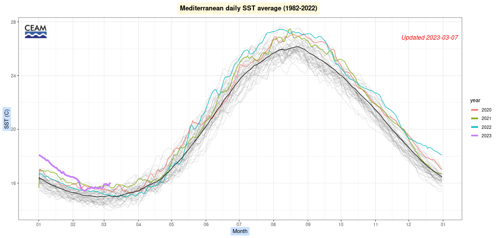 mediterraneo caldo clima