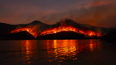 Photo of Spagna tra mega incendi, siccità e caldo anomalo
