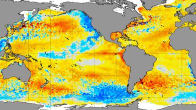 Photo of Oceani mai così caldi in 40 anni: nuovo record a metà marzo, e ancora senza El Niño