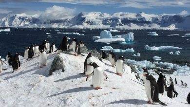 Photo of Antartide, le calotte potrebbero ritirarsi molto più in fretta del previsto