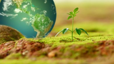 Photo of Giornata della Terra 2023, è giunto il momento di investire nel nostro pianeta