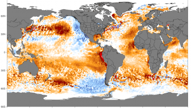 Photo of La superficie degli oceani non è mai stata così calda