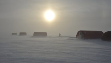 Photo of Caldo estremo nella Russia artica: nuovo record autunnale a Vize Island