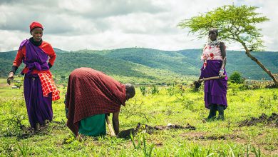 Photo of ZeroCO2 in Tanzania per supportare le comunità Masai. Il progetto che vuole contrastare la desertificazione e aiutare l’emancipazione femminile