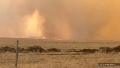 Photo of Canada, emergenza incendi in Alberta: 109 incendi attivi nella regione, evacuate 25 mila persone
