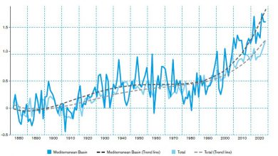 Photo of Giornata europea del Mare: tra economia blu e tutela degli ecosistemi marini
