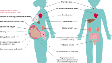 Photo of Alcune associazioni hanno presentato una proposta per mettere al bando le sostanze PFAS: la situazione e gli effetti sulla salute