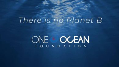 Photo of One Ocean Week: la settimana dedicata all’oceano tra eventi, incontri e laboratori didattici