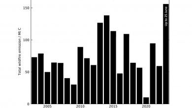 Photo of Incendi Canada, fumo soffoca Quebec e Ontario e raggiunge l’Europa
