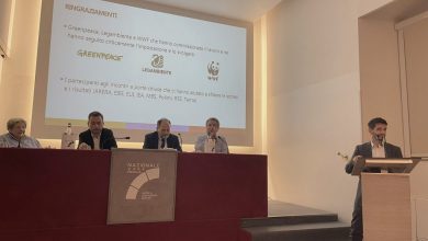 Photo of Energia rinnovabile al 100 per cento? L’Italia può farcela, uno studio rivela come