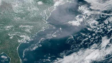 Photo of Il fumo degli incendi in Canada raggiunge New York: allarme per la qualità dell’aria