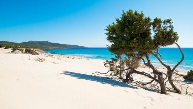 Photo of Dal Consiglio UE il via libera alla legge per il ripristino della natura, ma l’Italia vota contro
