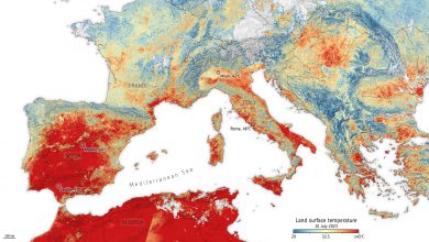 Photo of Ondata di caldo storica di luglio 2023, impossibile senza cambiamento climatico