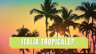 Photo of Caldo estremo: l’Italia sta diventando un Paese Tropicale?