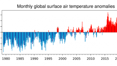 Photo of Giugno 2023 è stato il più caldo della storia a livello globale