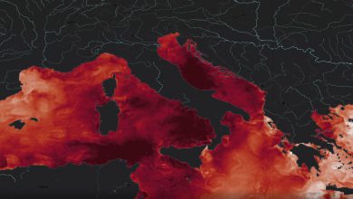 Photo of Mare Mediterraneo mai così rovente: ondata di caldo marina senza precedenti