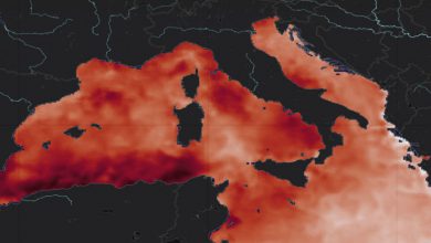 Photo of Ondata di caldo: il Mediterraneo sfiora i 30 gradi. Mare verde a Napoli