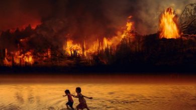 Photo of Amazzonia, cala la deforestazione ma non gli incendi: +5,3% rispetto al 2022