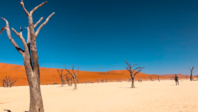 Photo of Dopo 3 anni di siccità, nel Corno d’Africa si prevedono piogge superiori alla media