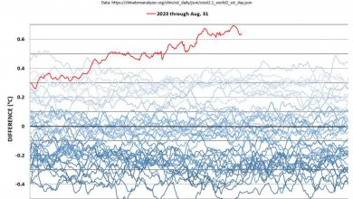 Photo of Oceani e mari del Pianeta mai così caldi come in questo periodo: cosa sta succedendo?