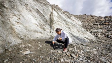 Photo of Ghiacciaio Miage, il “ghiacciaio nero” del Monte Bianco ha perso oltre 100 miliardi di litri di acqua dal 2008