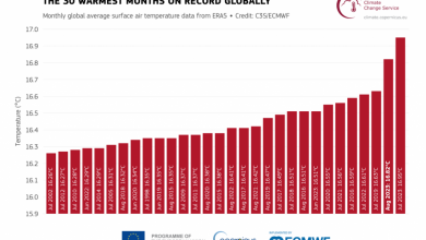 Photo of Estate 2023, la più calda di sempre a livello globale