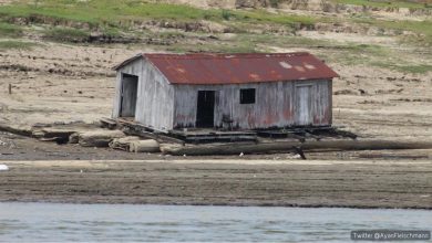 Photo of Amazzonia soffocata da una siccità senza precedenti: mezzo milione di persone a rischio in Brasile