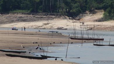 Photo of Amazzonia, siccità senza precedenti: mezzo milione di persone a rischio in Brasile