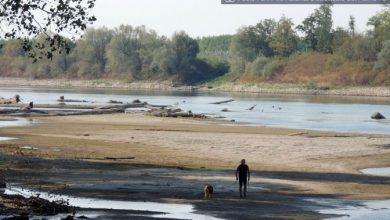 Photo of 2023: l’anno più secco per i fiumi a livello globale in tre decenni