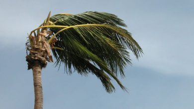 Photo of Uragano Melissa, devastazione nei Caraibi: vittime e danni in aumento