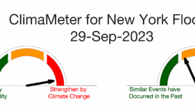 Photo of New York, la tempesta è stata resa più intensa dalla crisi climatica: i dati