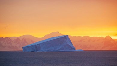 Photo of Antartide: il cambiamento climatico trasforma il continente di ghiaccio