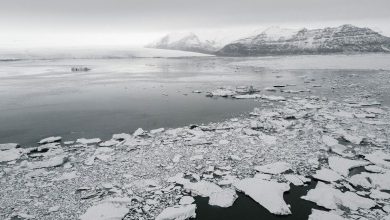 Photo of Antartide, lo scioglimento rapido dei ghiacci è ormai inevitabile