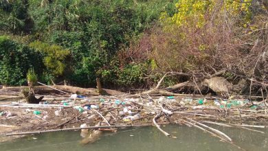 Photo of Fiumi italiani vittime dei rifiuti, plastica protagonista: i dati e le conseguenze