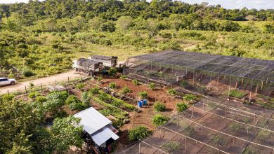 Photo of ZeroCO2 rivoluziona il sistema di monitoraggio dei suoi progetti green. L’intervista al fondatore Andrea Pesce