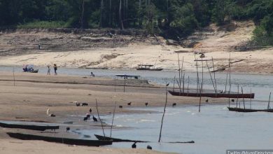 Photo of Le siccità improvvise in aumento nei prossimi decenni: dove sono previsti i cambiamenti più gravi?