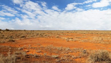 Photo of Australia Occidentale tra gelo record a sud-ovest e caldo estremo nel nord