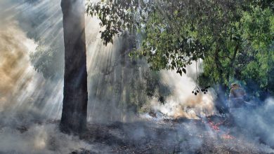 Photo of Australia e meteo estremo: negli ultimi 10 anni ricoveri e decessi in forte aumento