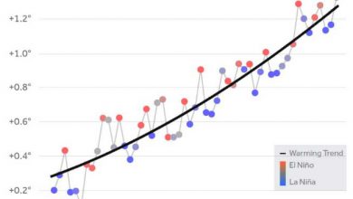 Photo of Clima, abbiamo appena vissuto i 12 mesi più caldi di tutti tempi. A Roma 19 giorni di temperature estreme