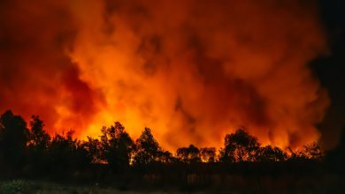 Photo of Clima, il tempo stringe e siamo ancora fuori strada: urgente accelerare a COP28
