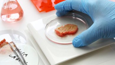 Photo of Carne coltivata bloccata dal Governo: la dieta Mediterranea non ci salverà dalla crisi climatica